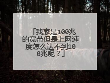 我家是100兆的宽带但是上网速度怎么达不到100兆呢?