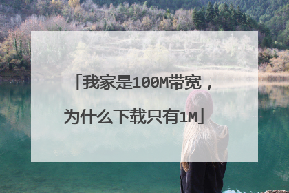 我家是100M带宽，为什么下载只有1M