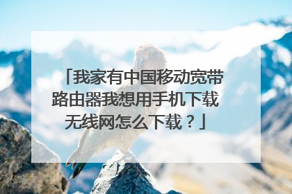 我家有中国移动宽带路由器我想用手机下载无线网怎么下载？