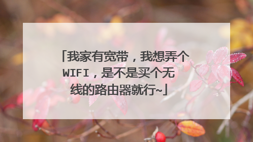我家有宽带，我想弄个WIFI，是不是买个无线的路由器就行~