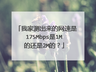 我家测出来的网速是175Mbps是1M的还是2M的?
