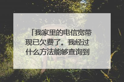 我家里的电信宽带现已欠费了。我经过什么方法能够查询到详细欠费多少钱？