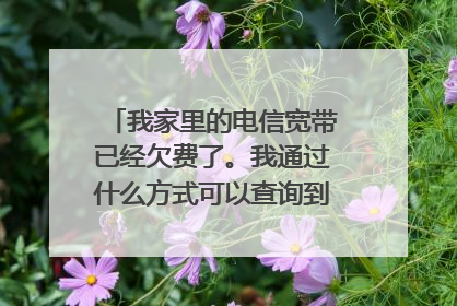 我家里的电信宽带已经欠费了。我通过什么方式可以查询到具体欠费多少钱？