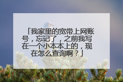 我家里的宽带上网账号,忘记了,之前我写在一个小本本上的,现在怎么查询啊?