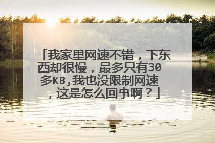 我家里网速不错，下东西却很慢，最多只有30多KB,我也没限制网速，这是怎么回事啊？