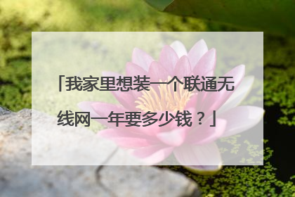 我家里想装一个联通无线网一年要多少钱？