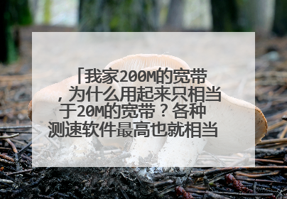 我家200M的宽带，为什么用起来只相当于20M的宽带？各种测速软件最高也就相当于40M的宽带