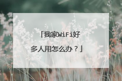 我家WiFi好多人用怎么办?