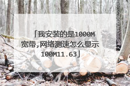 我安装的是1000M宽带,网络测速怎么显示100M11.63