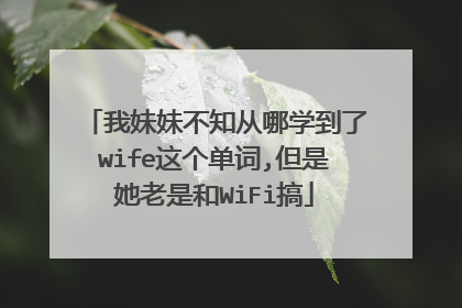 我妹妹不知从哪学到了wife这个单词,但是她老是和WiFi搞