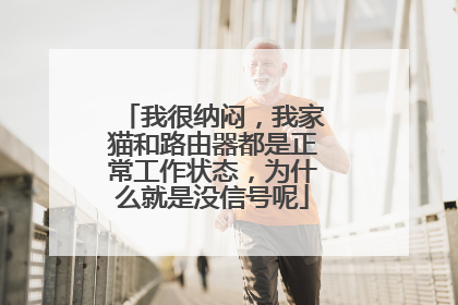 我很纳闷，我家猫和路由器都是正常工作状态，为什么就是没信号呢