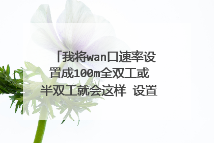 我将wan口速率设置成100m全双工或半双工就会这样 设置成自动协商就会恢复