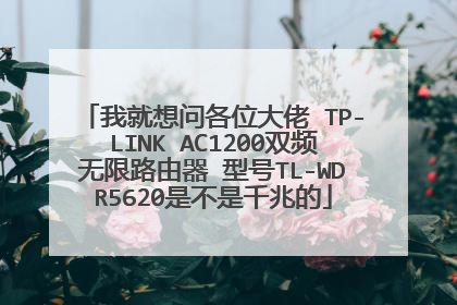 我就想问各位大佬 TP-LINK AC1200双频无限路由器 型号TL-WDR5620是不是千兆的