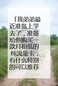 我弟弟最近准备上学去了，准备给他购买一款月租低的纯流量卡，有什么特别的可以推荐的吗？