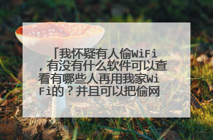 我怀疑有人偷WiFi,有没有什么软件可以查看有哪些人再用我家WiFi的?并且可以把偷网的WiFi给