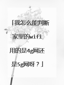 我怎么能判断家里的wifi用的是4g网还是5g网呀？
