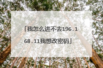 我怎么进不去196.168.11我想改密码
