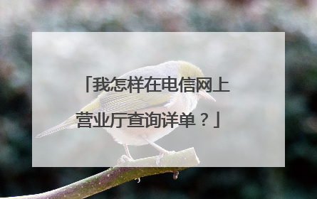我怎样在电信网上营业厅查询详单?