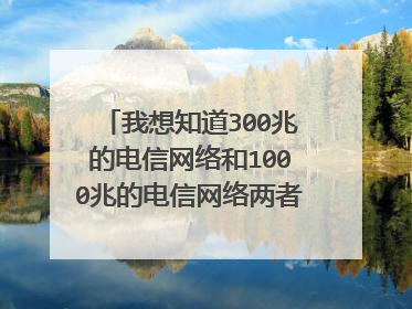 我想知道300兆的电信网络和1000兆的电信网络两者的差异是什么?