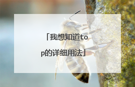 我想知道top的详细用法
