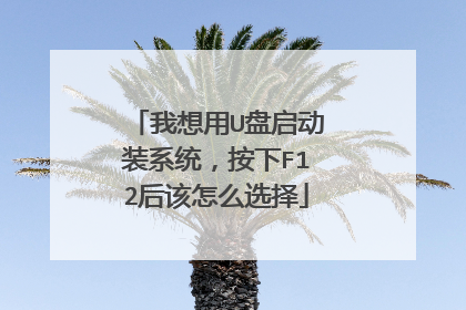 我想用U盘启动装系统,按下F12后该怎么选择
