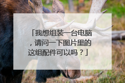 我想组装一台电脑,请问一下图片里的这组配件可以吗?