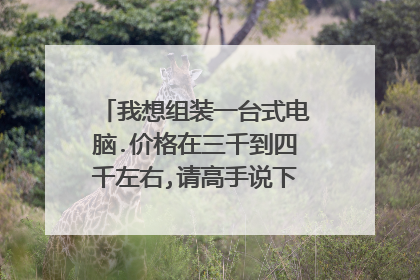 我想组装一台式电脑.价格在三千到四千左右,请高手说下详细配置和价格