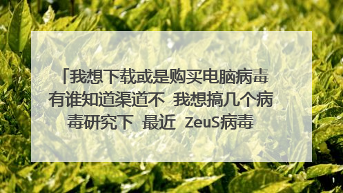 我想下载或是购买电脑病毒 有谁知道渠道不 我想搞几个病毒研究下 最近 ZeuS病毒 很火哪位仁兄知道在哪里弄