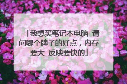 我想买笔记本电脑 请问哪个牌子的好点,内存要大 反映要快的
