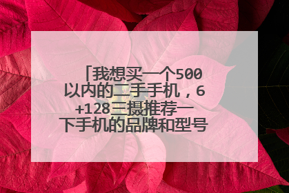 我想买一个500以内的二手手机,6+128三摄推荐一下手机的品牌和型号哪个性价比最高?