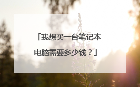 我想买一台笔记本电脑需要多少钱？