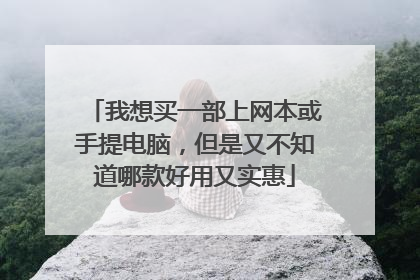 我想买一部上网本或手提电脑，但是又不知道哪款好用又实惠