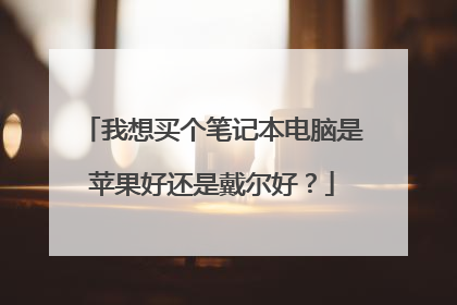 我想买个笔记本电脑是苹果好还是戴尔好？