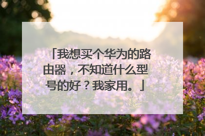 我想买个华为的路由器，不知道什么型号的好？我家用。