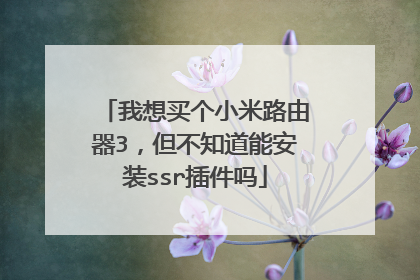 我想买个小米路由器3，但不知道能安装ssr插件吗
