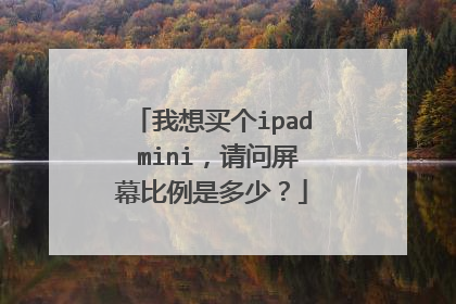 我想买个ipad mini,请问屏幕比例是多少?