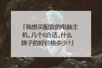 我想买配音的电脑主机,几个G合适,什么牌子的好价格多少?