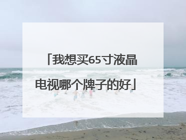 我想买65寸液晶电视哪个牌子的好