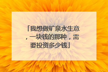 我想做矿泉水生意，一块钱的那种，需要投资多少钱