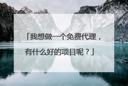 我想做一个免费代理，有什么好的项目呢？