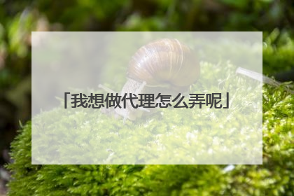 我想做代理怎么弄呢