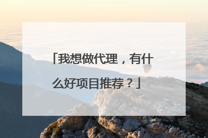 我想做代理，有什么好项目推荐？