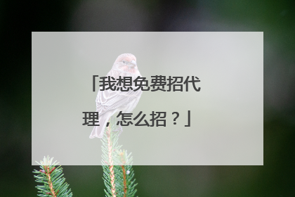 我想免费招代理，怎么招？