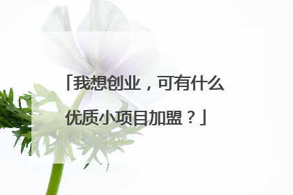 我想创业,可有什么优质小项目加盟?