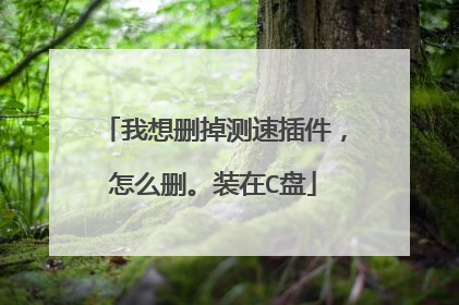 我想删掉测速插件,怎么删。装在C盘