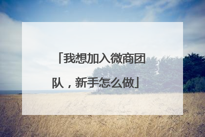 我想加入微商团队,新手怎么做