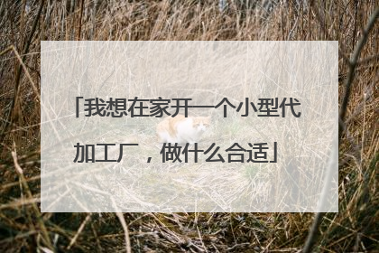 我想在家开一个小型代加工厂，做什么合适