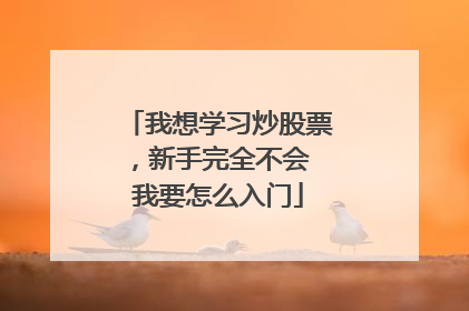 我想学习炒股票，新手完全不会 我要怎么入门