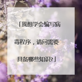 我想学会编写病毒程序，请问需要具备哪些知识?