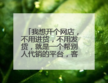 我想开个网店,不用进货,不用发货,就是一个帮别人代销的平台,客户从我的网店购物,我拿提成,问怎么开